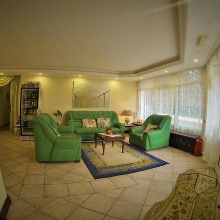 B&B Villa Evandjelina Sremska Kamenica 외부 사진