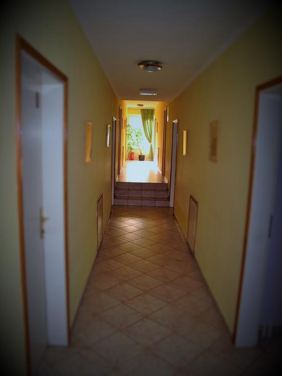 B&B Villa Evandjelina Sremska Kamenica 외부 사진