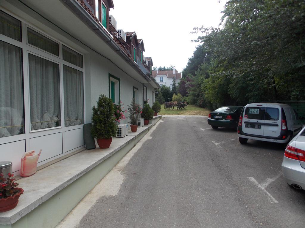 B&B Villa Evandjelina Sremska Kamenica 외부 사진