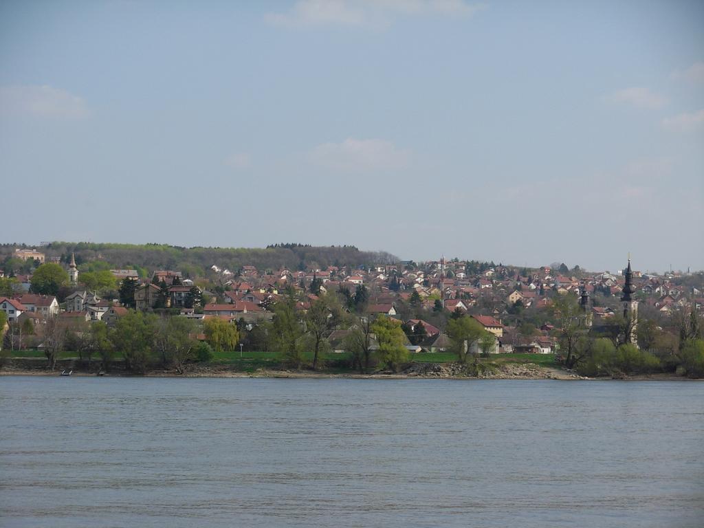 B&B Villa Evandjelina Sremska Kamenica 외부 사진