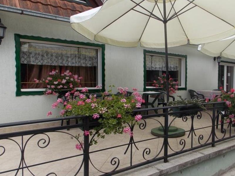 B&B Villa Evandjelina Sremska Kamenica 외부 사진