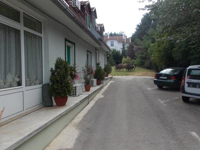 B&B Villa Evandjelina Sremska Kamenica 외부 사진